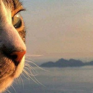 Meet your Posher, Astrid